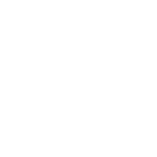 /pttcell